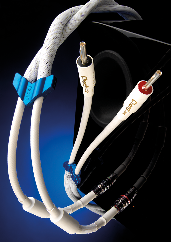 THE CHORD COMPANY Sarum T Speaker Cable-Ohmic 2.5m Yラグ スピーカーケーブル ペア  オーディオケーブル